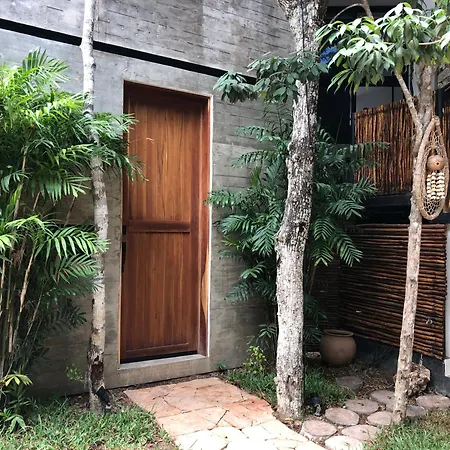 La Casa de María 11:11